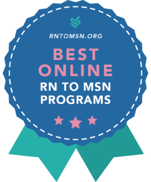 2024 Best Online RN to MSN Programs | No Bachelor's Required